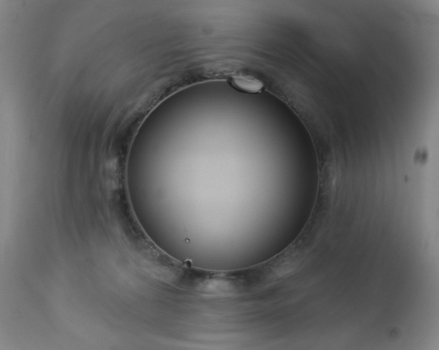 X0000112960224200909031030