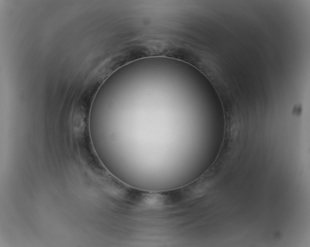 X0000112960226200909031029