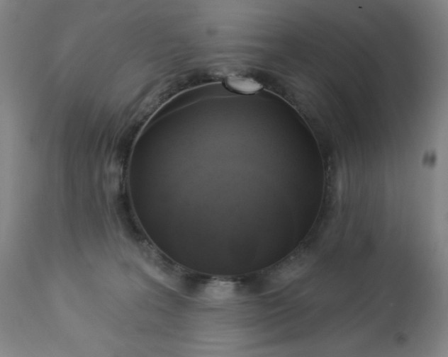 X0000112960227200909031029