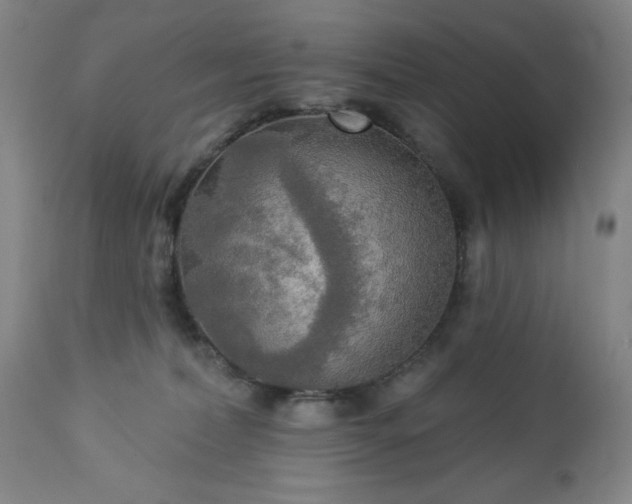 X0000112960228200909031029