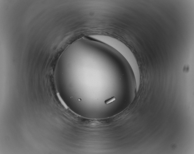 X0000112960229200909031029