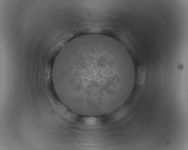 X0000112960230200909031029