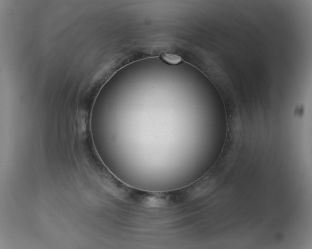 X0000112960232200909031029