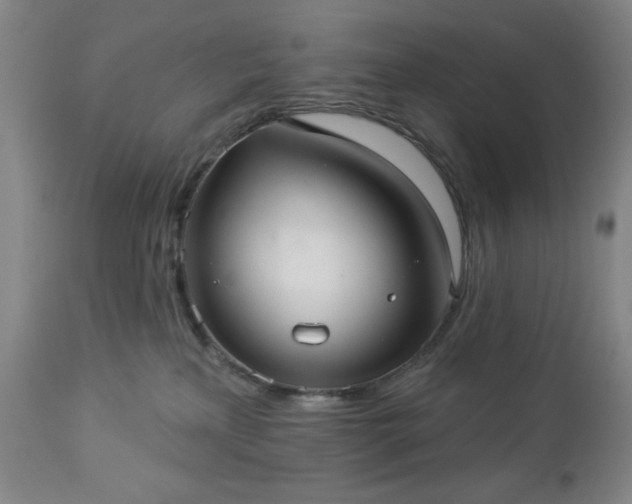 X0000112960233200909031029