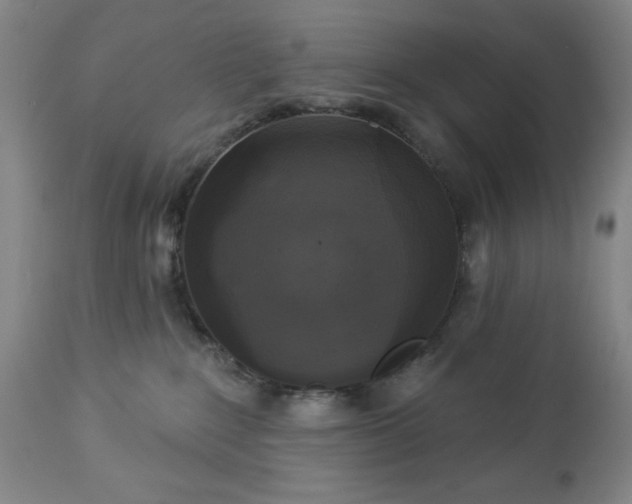 X0000112960235200909031029