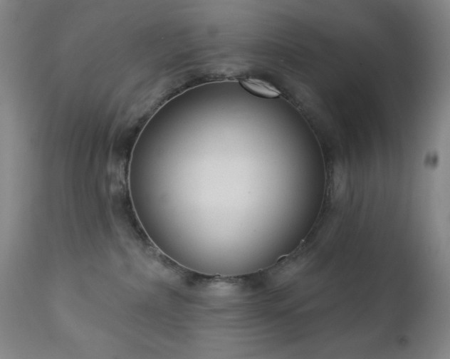 X0000112960236200909031029