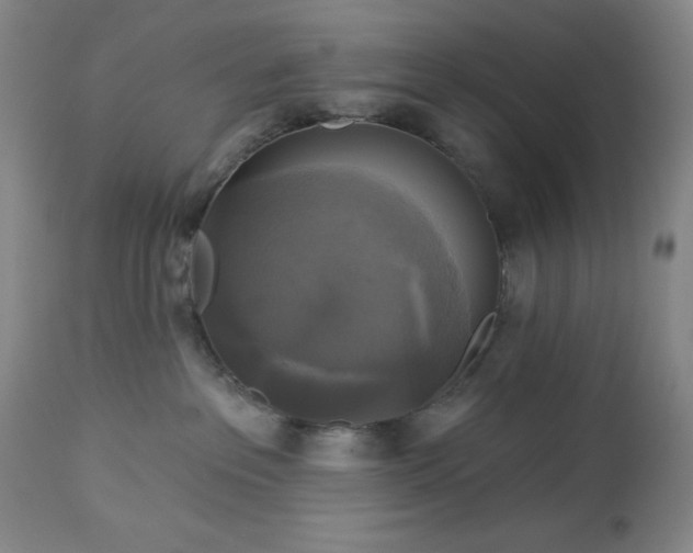 X0000112960237200909031029