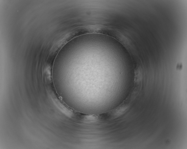 X0000112960238200909031029