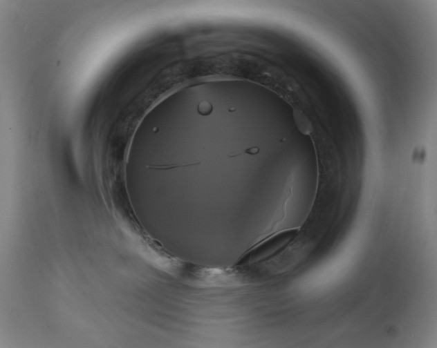 X0000112960239200909031029