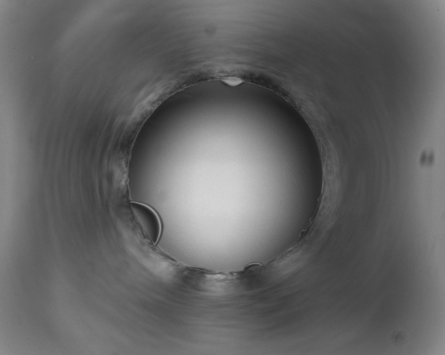 X0000112960240200909031029