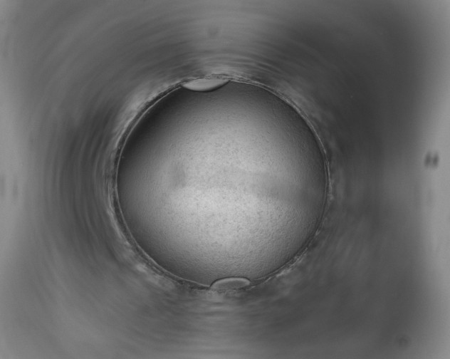 X0000112960241200909031028