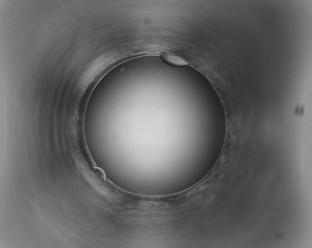 X0000112960242200909031028