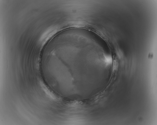 X0000112960243200909031029