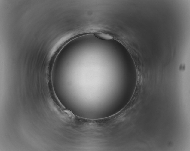 X0000112960244200909031029