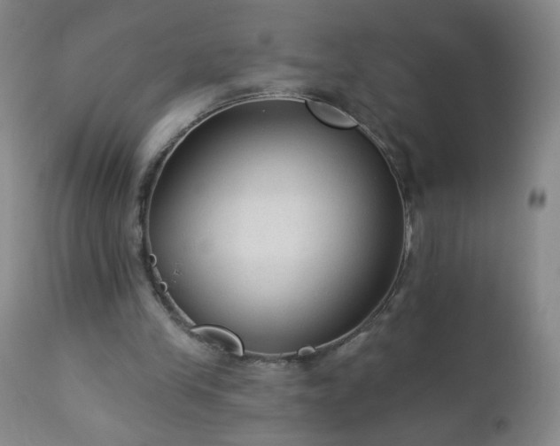 X0000112960245200909031029