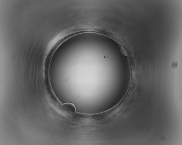 X0000112960246200909031029