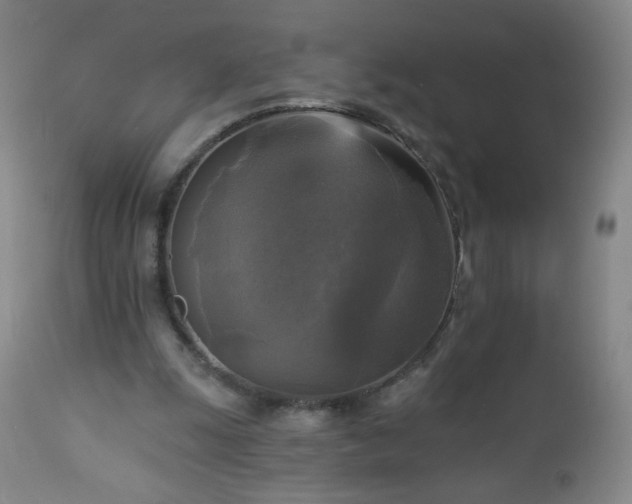 X0000112960247200909031029