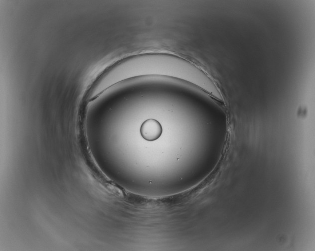 X0000112960248200909031029