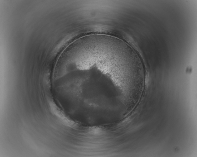 X0000112960249200909031029