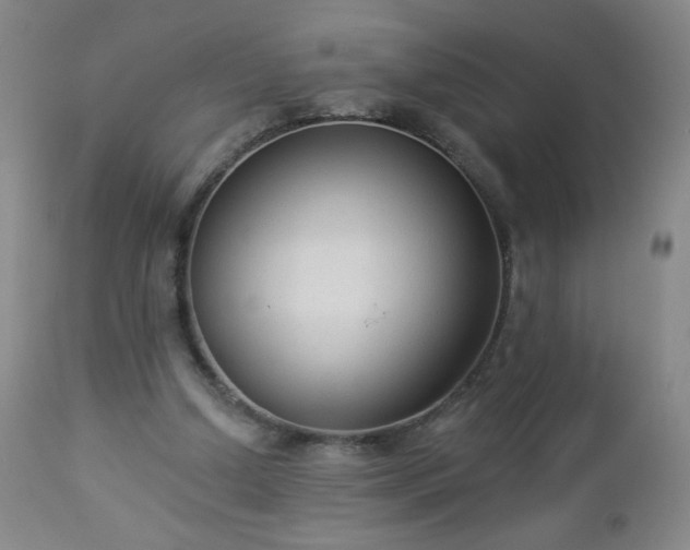 X0000112960250200909031029