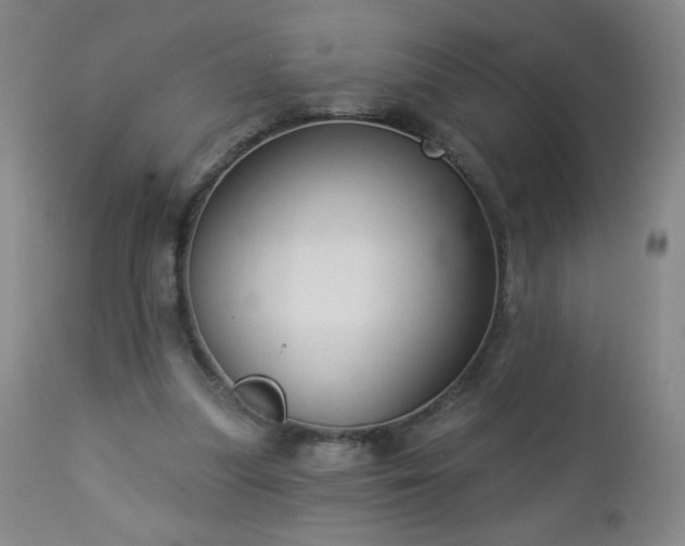 X0000112960251200909031029