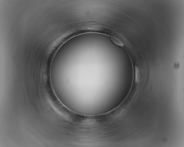 X0000112960252200909031029