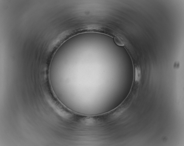 X0000112960253200909031029