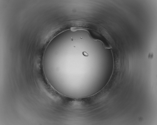 X0000112960255200909031029