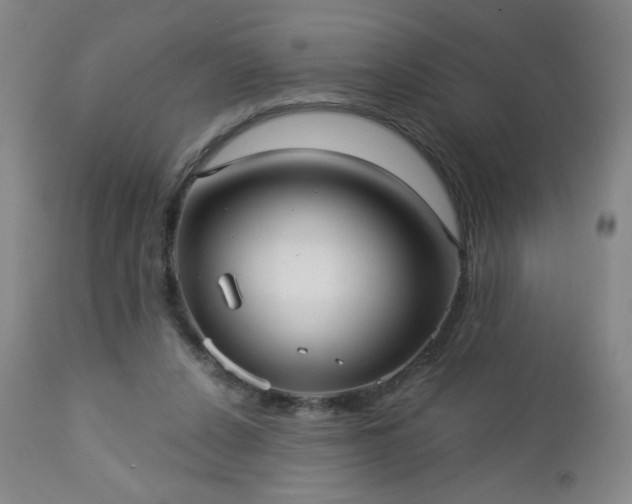 X0000112960256200909031029