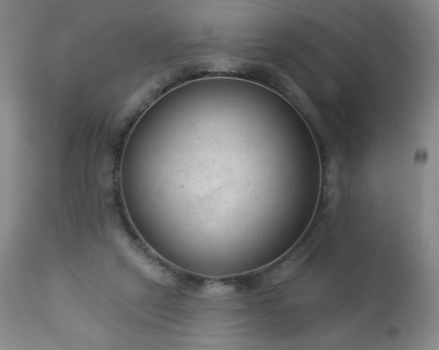 X0000112960257200909031029