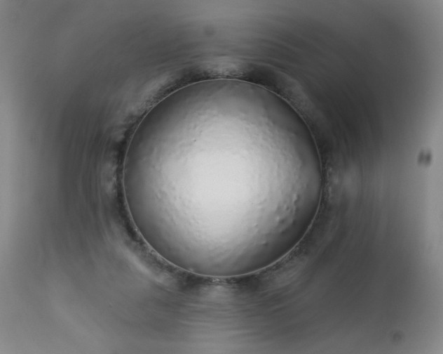 X0000112960259200909031029