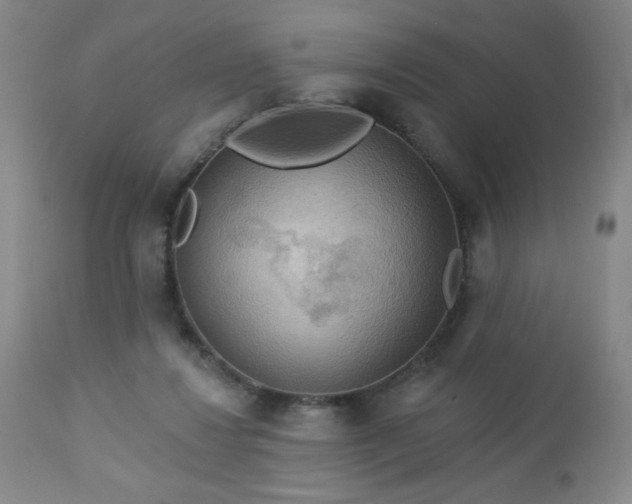 X0000112960260200909031029