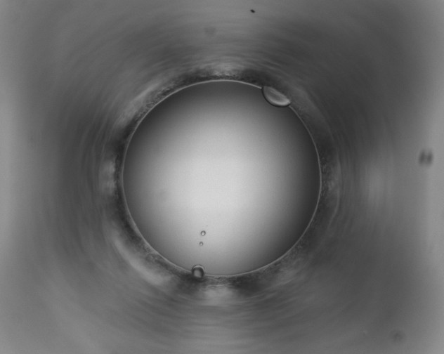 X0000112960262200909031029