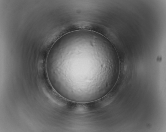 X0000112960263200909031029