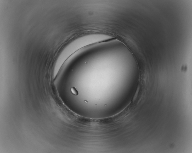 X0000112960264200909031029