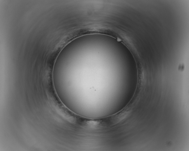 X0000112960265200909031029