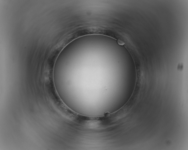 X0000112960266200909031029