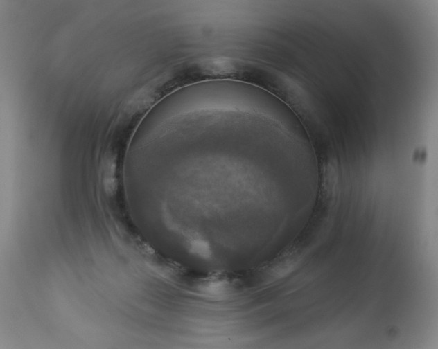 X0000112960267200909031029