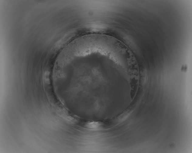 X0000112960269200909031029