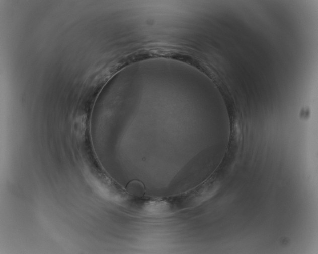 X0000112960271200909031029