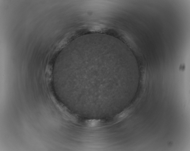 X0000112960273200909031029