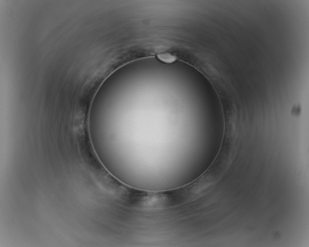 X0000112960274200909031029