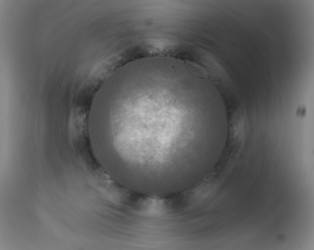 X0000112960276200909031029