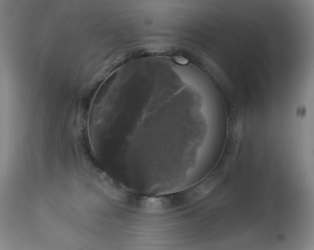 X0000112960277200909031029