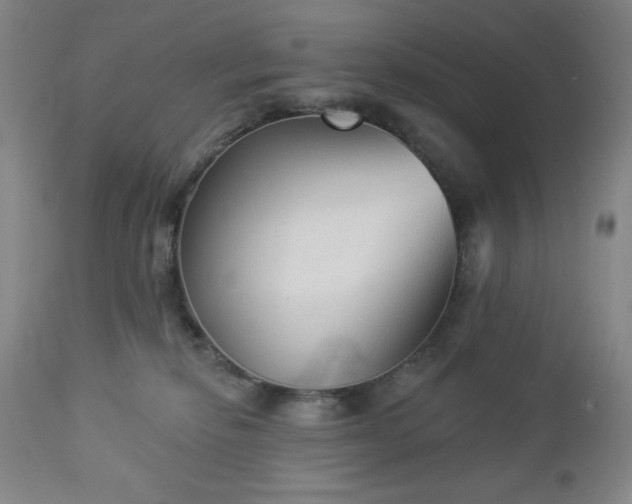 X0000112960278200909031029