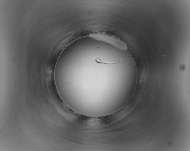 X0000112960279200909031029