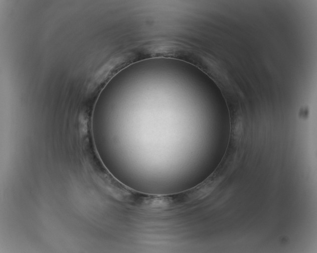 X0000112960282200909031029