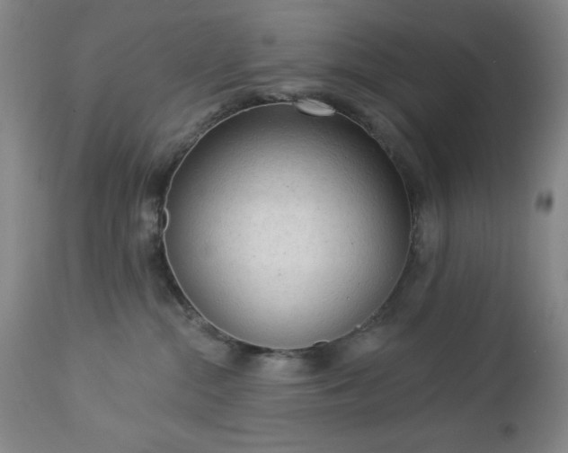 X0000112960284200909031029