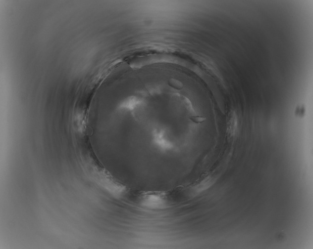 X0000112960285200909031029