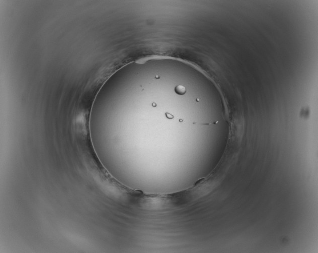 X0000112960286200909031029